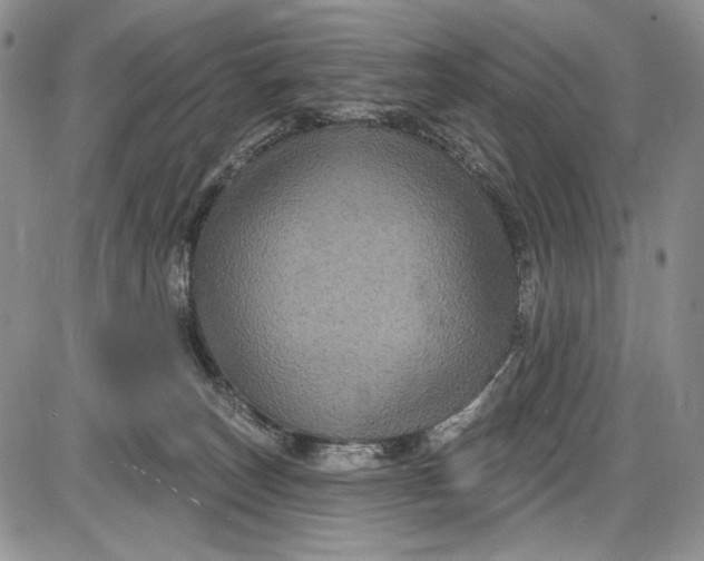 X0000085760179200703301437