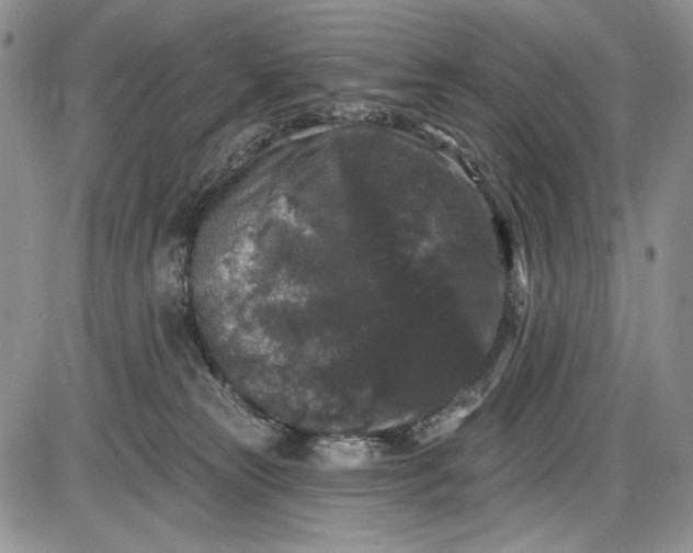 X0000085760181200703301437