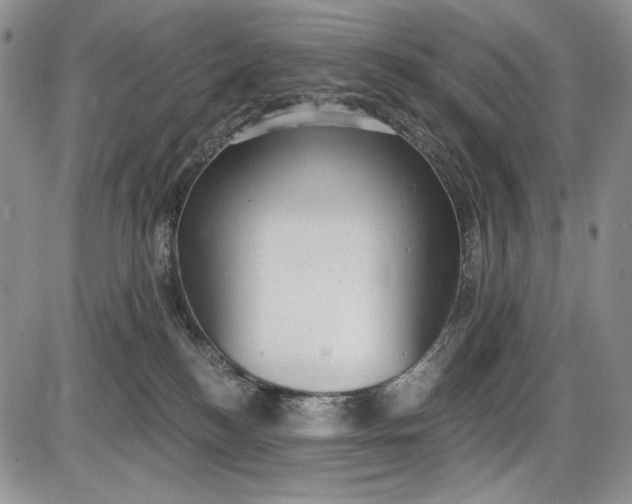 X0000085760184200703301437