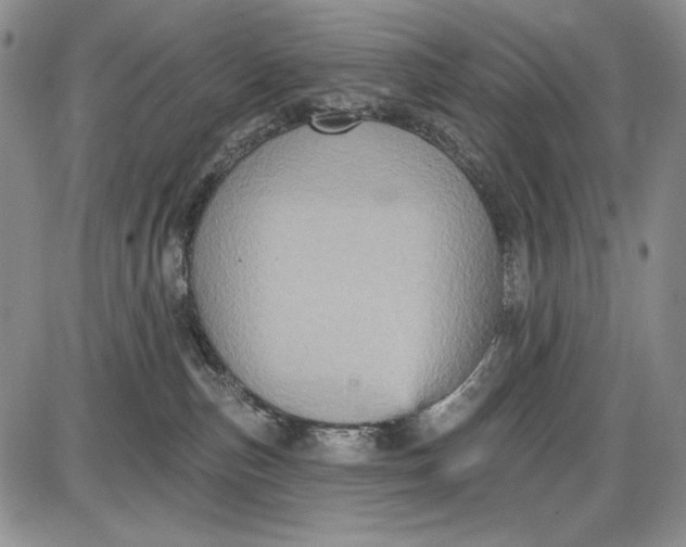 X0000085760187200703301437