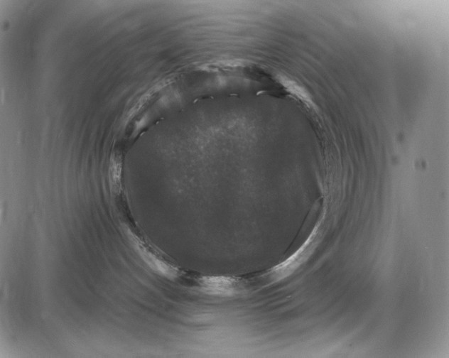 X0000085760192200703301437