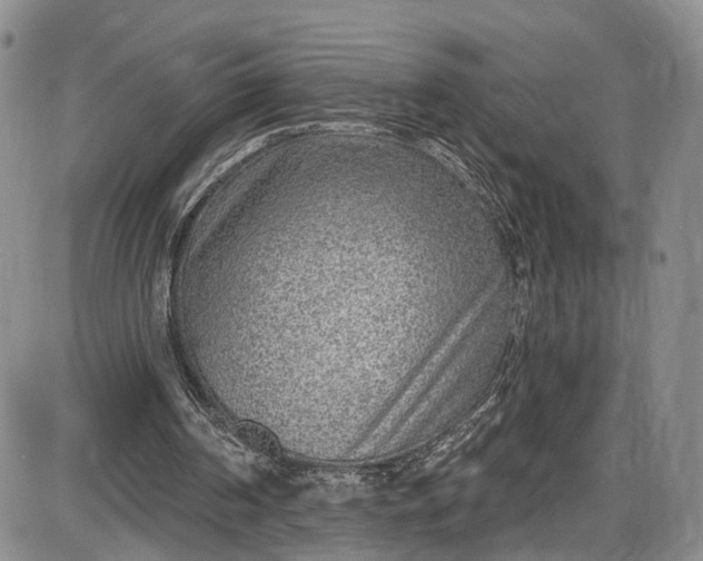 X0000085760194200703301437