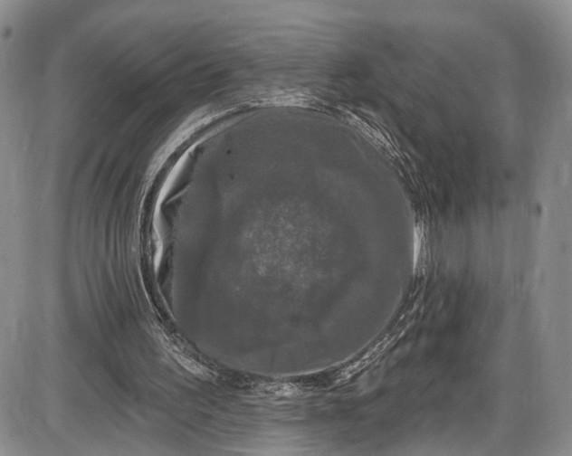 X0000085760195200703301437