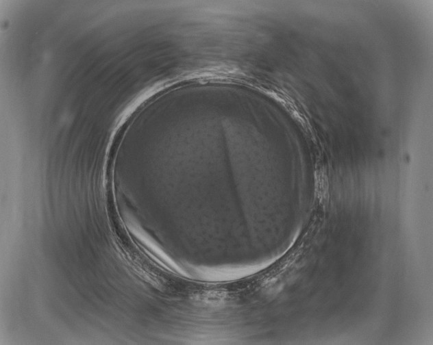 X0000085760196200703301437