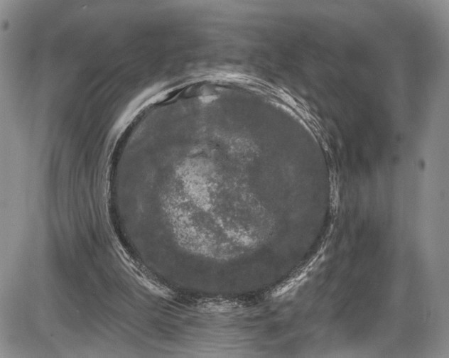 X0000085760199200703301437