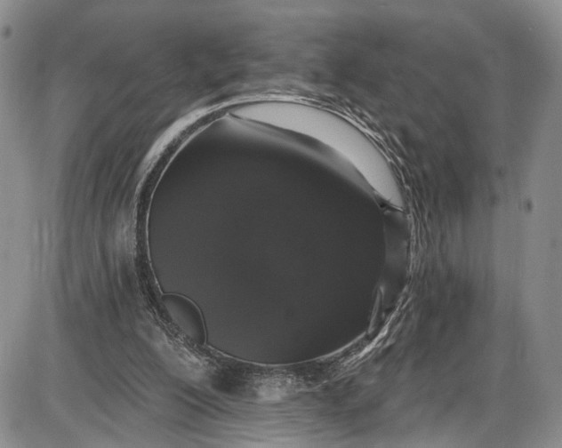 X0000085760200200703301437