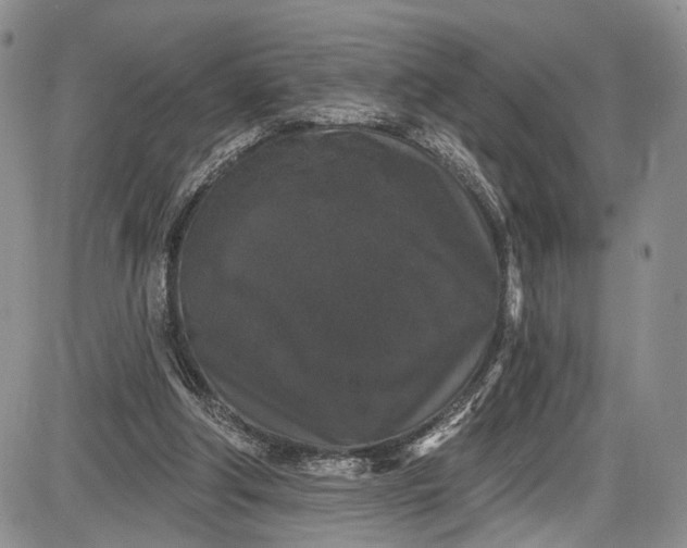 X0000085760202200703301436