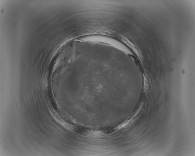 X0000085760203200703301436