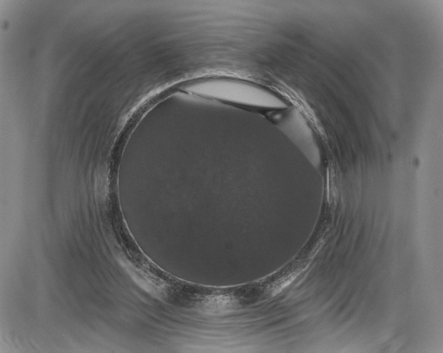 X0000085760204200703301436