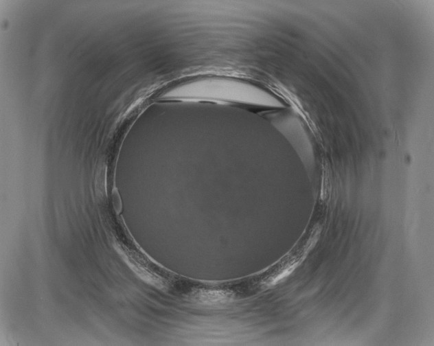 X0000085760205200703301436