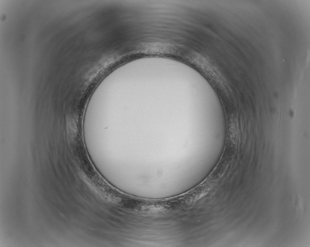 X0000085760208200703301436
