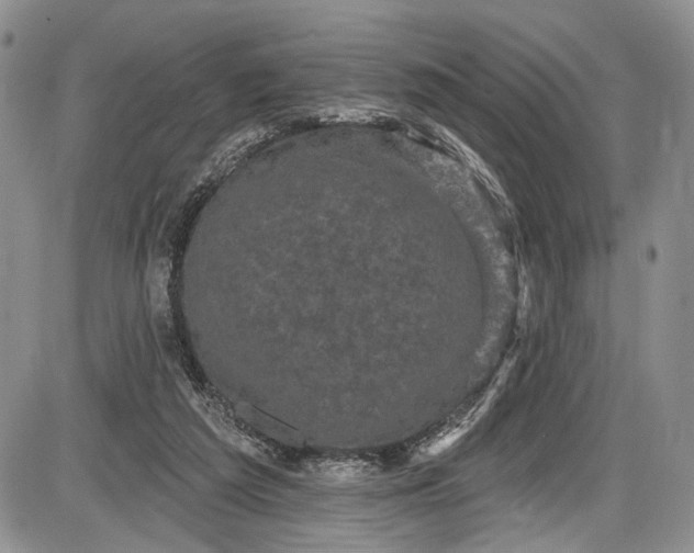 X0000085760209200703301436