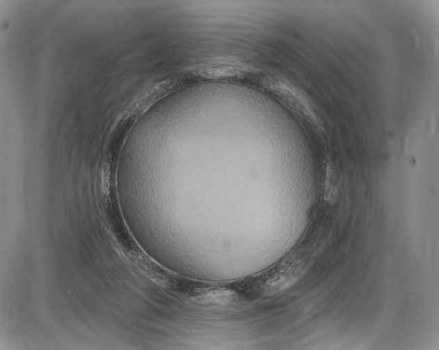X0000085760210200703301436