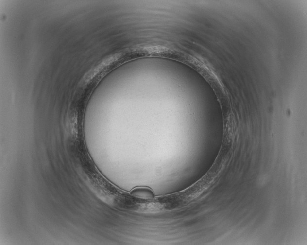 X0000085760212200703301436