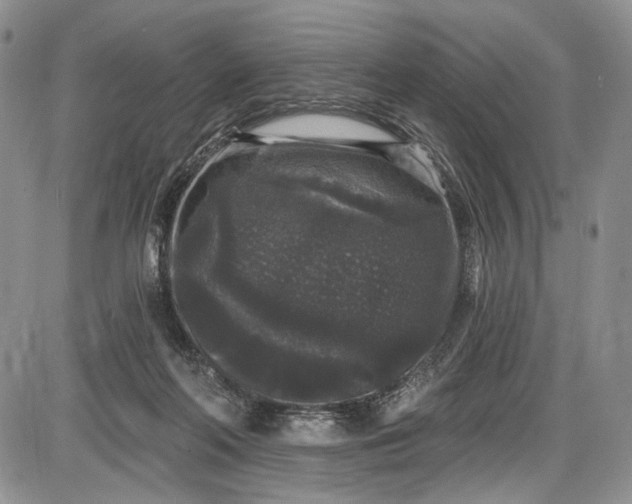 X0000085760214200703301436