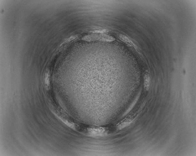 X0000085760215200703301436