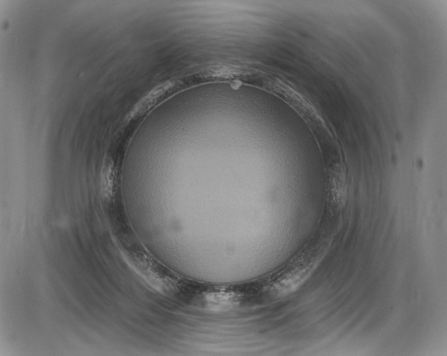 X0000085760216200703301436