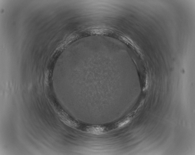X0000085760217200703301436