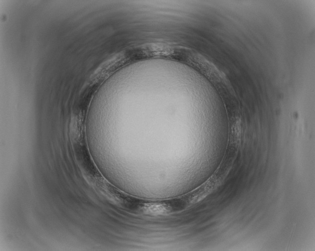 X0000085760218200703301436