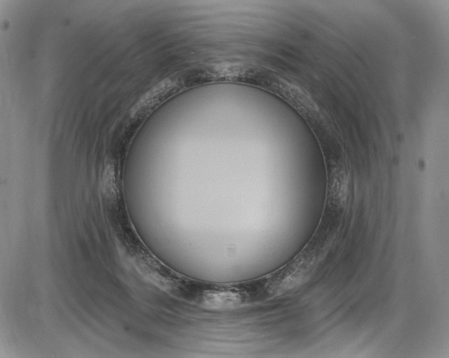 X0000085760220200703301436