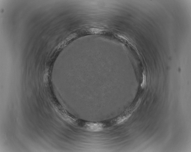 X0000085760221200703301436