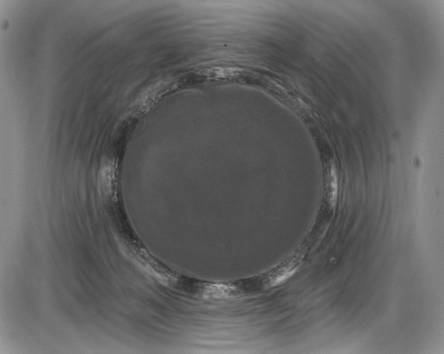 X0000085760222200703301436