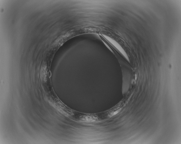 X0000085760223200703301436