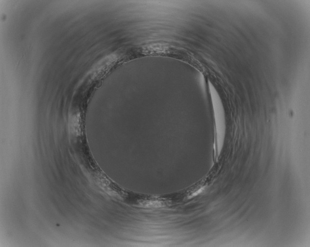 X0000085760224200703301436