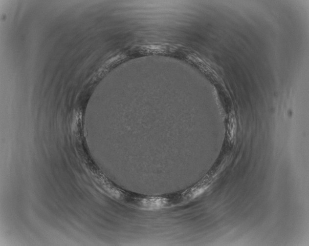 X0000085760225200703301436