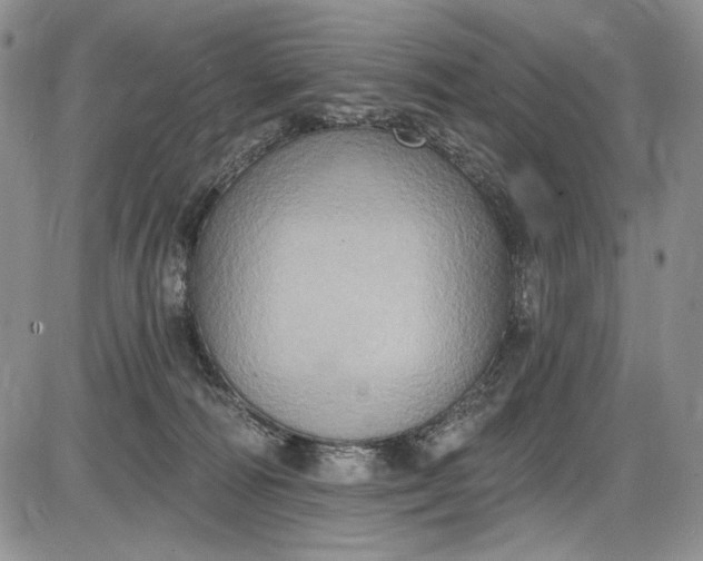X0000085760226200703301436