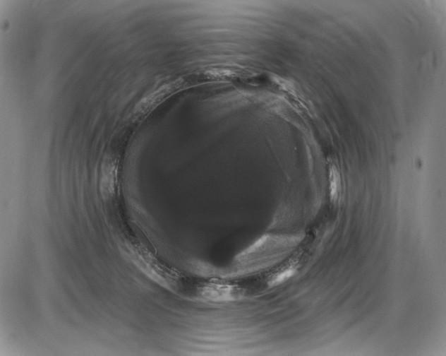 X0000085760227200703301436