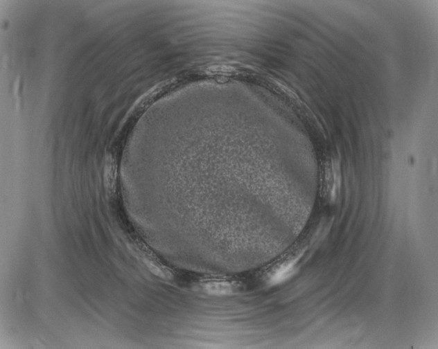 X0000085760228200703301436