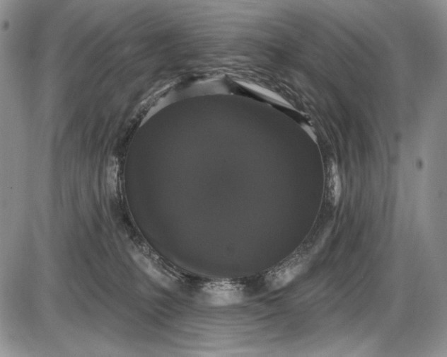 X0000085760231200703301436
