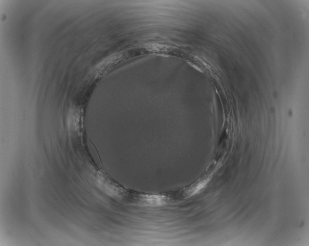 X0000085760233200703301436