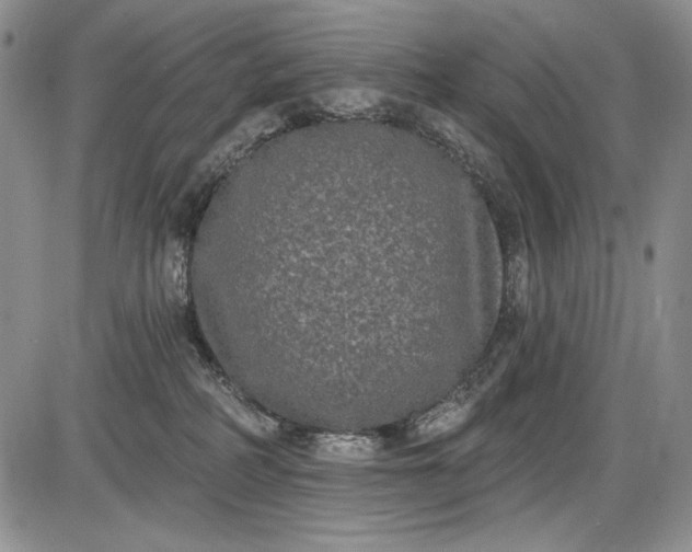 X0000085760234200703301436