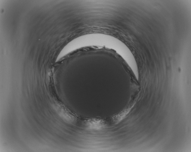 X0000085760235200703301436