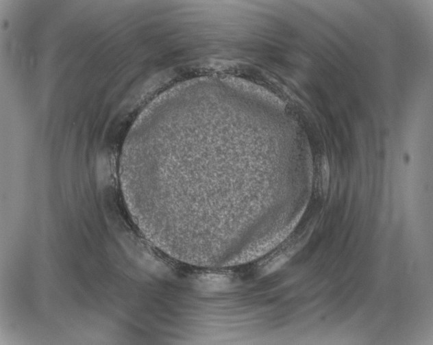 X0000085760236200703301436