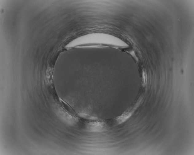 X0000085760237200703301436