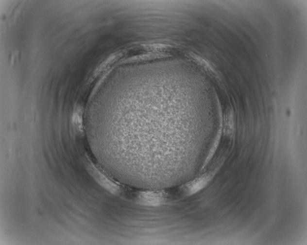 X0000085760238200703301436