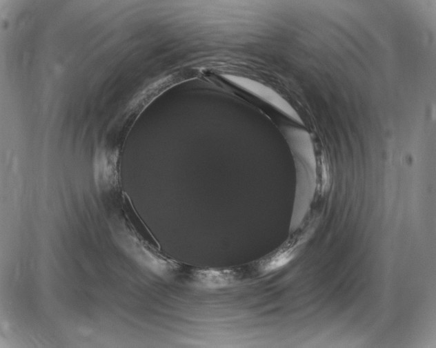 X0000085760239200703301436