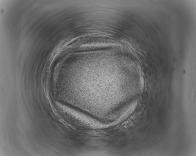 X0000085760241200703301435