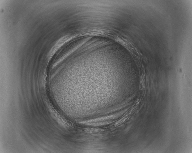 X0000085760242200703301435