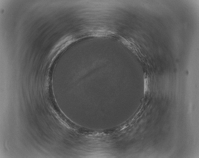 X0000085760243200703301435