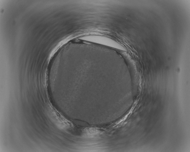 X0000085760244200703301435