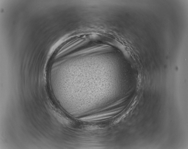 X0000085760246200703301435