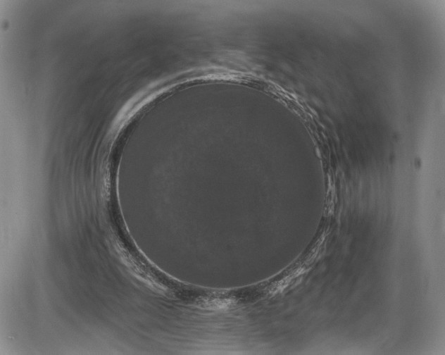 X0000085760247200703301435