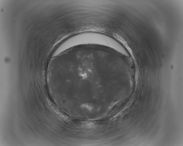 X0000085760249200703301435