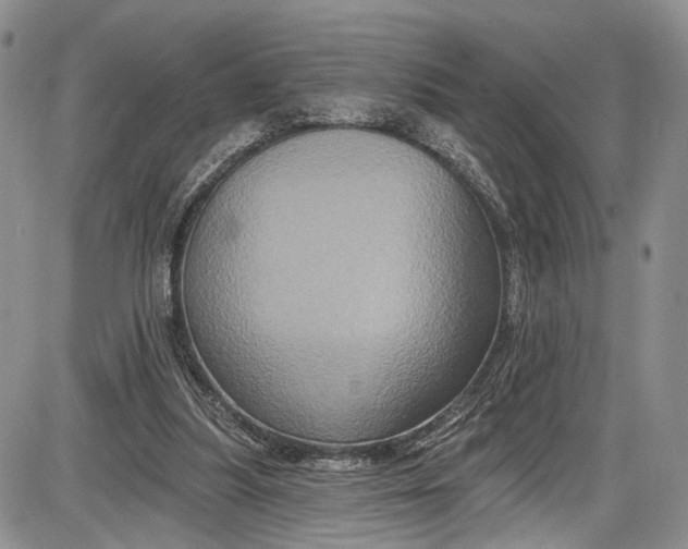 X0000085760251200703301435
