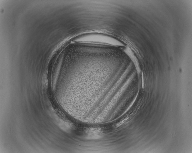 X0000085760252200703301435