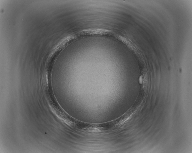 X0000085760254200703301435